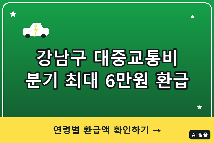 강남구 대중교통비 환급 대표이미지